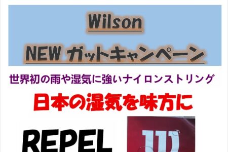 wilsonラケット＆ガットキャンペーン